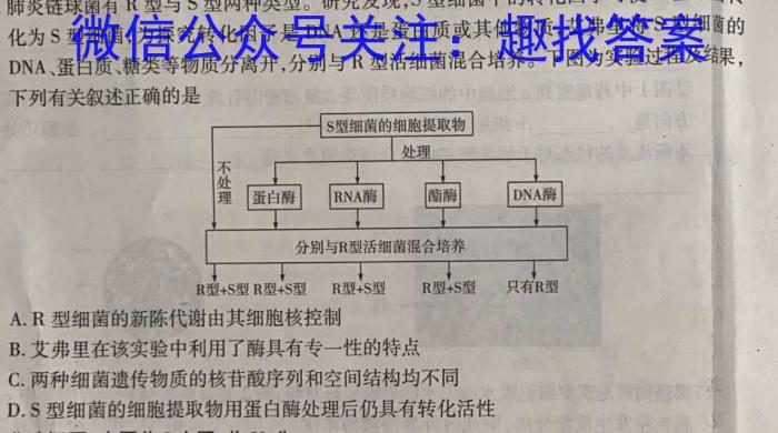 山东省滨州市2024届高三下学期二模(2024.5)生物学试题答案