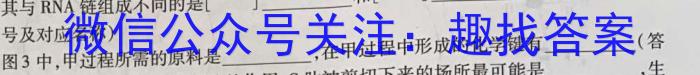 2024届安徽高三冲刺高考信息回头看(十三)生物学试题答案