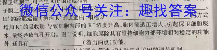 2024年普通高等学校招生伯乐马模拟考试(五)5数学