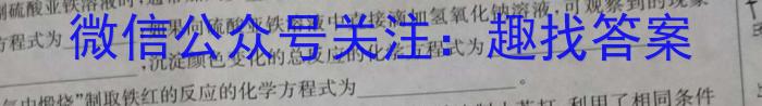 2024年定西市普通高中高一年级学业质量检测数学