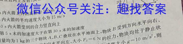 安徽省2023-2024学年度第二学期九年级学情调研（六）物理`