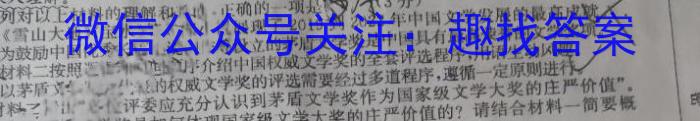 贵州省贵阳第一中学2024届高考适应性月考卷(五)(白黑白黑黑白白)语文