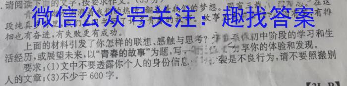 河南省驻马店市区学校2023年第一学期九年级期末质量监测试题语文