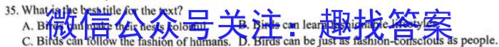 安徽省铜陵市铜官区2023-2024学年度第一学期九年级期末质量监测英语