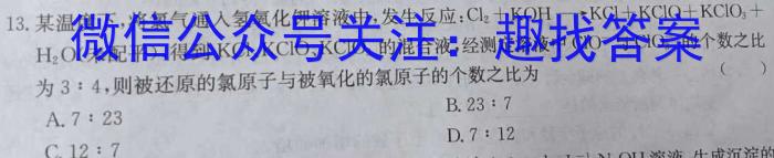 安徽省2024年九年级百校大联考（5月）数学