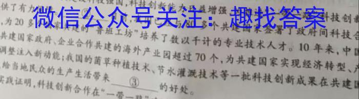 内部资料·加速高升鼎新卷 2024年安徽省初中学业水平模拟考试语文