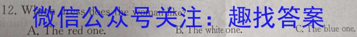 安徽省2024年中考总复习专题训练 R-AH(二)2英语