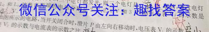 河南省2023-2024学年度第二学期八年级期末测试卷（BBRJ）物理`