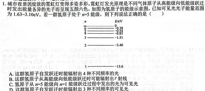 2024届大湾区普通高中毕业年级联合模拟考试(一)物理试题.