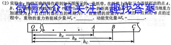 周至县2023~2024学年度高考第三次模拟物理