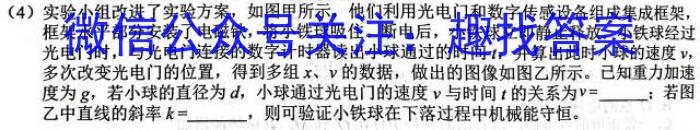 大湾区2023-2024学年第二学期期末联合考试（高一年级）物理试卷答案