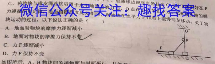 天一大联考 2024年普通高等学校招生全国统一考试诊断卷(A卷)物理试卷答案