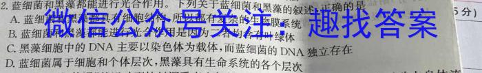 三晋卓越联盟·山西省2023-2024学年高二7月质量检测卷生物学试题答案