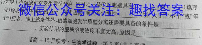 2024届高三4月质量检测数学