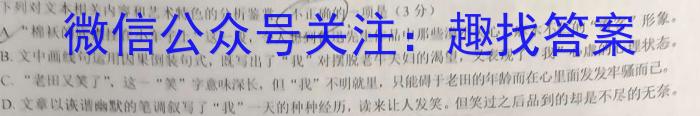 安徽省2023-2024学年度第二学期九年级阶段模考语文