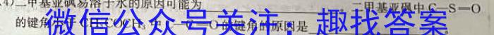 名校计划 2024年河北省中考适应性模拟检测(实战型)化学