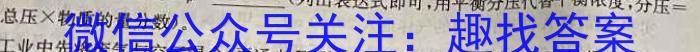 【精品】[师大名师金卷]2024年陕西省初中学业水平考试押题卷(A)化学