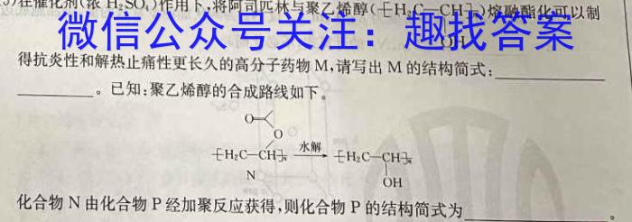 2024年中考安徽省名校大联考试卷（二）数学