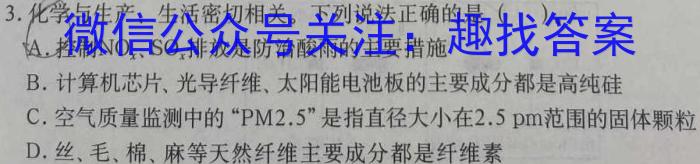 安徽省安庆市2023-2024学年度九年级正月联考综合素质调研化学