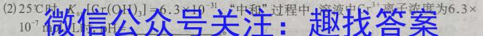 安徽省2023-2024学年八年级下学期综合素养评价化学