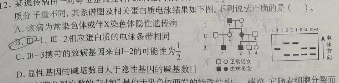 2024年普通高等学校招生全国统一考试专家猜题卷(四)4生物