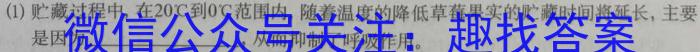 甘肃省2024年定西市高三年级教学质量统一检测(24-473C※)数学