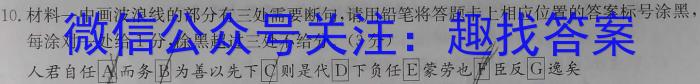 文博志鸿 河南省2024-2025学年九年级第一学期学情分析一语文