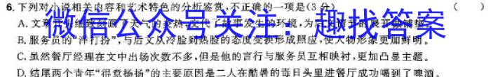 陕西省2023~2024学年度七年级期中教学素养测评(六) 6L R-SX语文