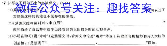 2024年陕西省初中学业水平考试(SX1)/语文