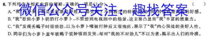 广西高一年级2024年春季学期入学联合检测卷/语文