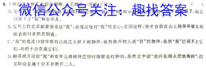 漯河市2023-2024学年高二下学期期末质量监测语文