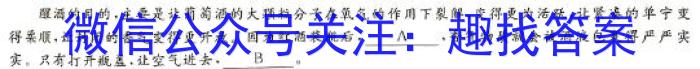 晋文源 山西省2023-2024学年九年级第一学期期末质量检测/语文