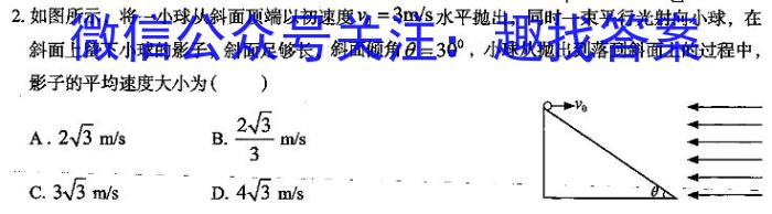 2024年安徽省中考学业水平检测试卷(A)物理