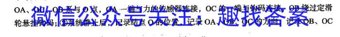 万唯中考·2024年山西省初中学业水平考试（会考黑卷）物理试卷答案