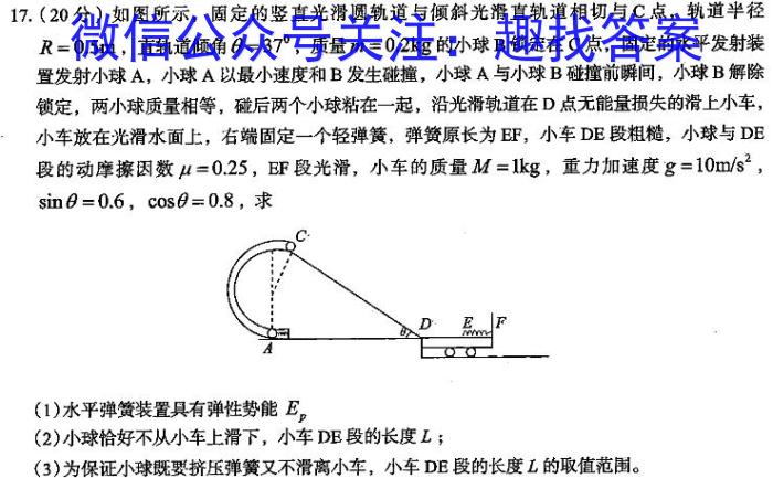 2024年陕西省初中学业水平考试（SX9）物理试卷答案