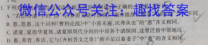 山西省2023-2024学年初三年级阶段性测试试卷 模拟演练(6.9)语文