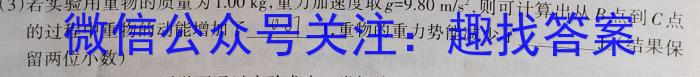 2024年河北省初中毕业生升学文化课摸底考试物理试卷答案