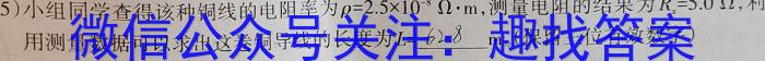 炎德英才大联考 湖南师大附中2024-2025学年度高二第一学期入学考试物理试卷答案