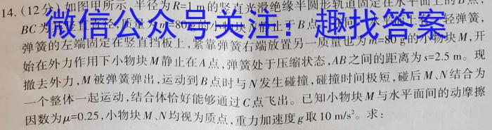 辽宁省沈阳市郊联体2024年9月高三联考物理试卷答案