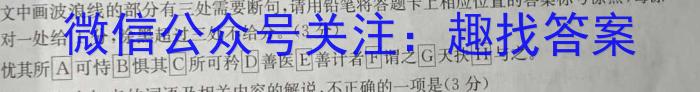 广东省潮州市2023-2024学年度第一学期期末高三级教学质量检测卷语文