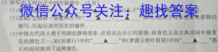 2024年河北省初中毕业生升学文化课模拟测评（五）/语文