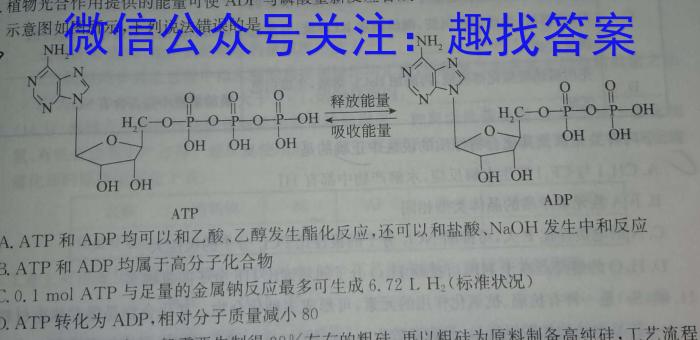 哈三中2024-2025学年度高一学年入学调研考试化学