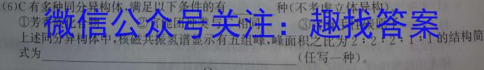 河北省邯郸市永年区实验中学2024-2025学年第一学期八年级开学摸底试卷数学