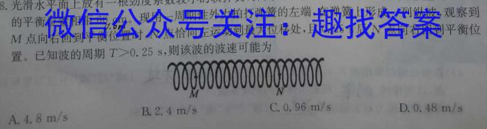 甘肃省张掖市2024年高三年级第三次诊断考试物理`