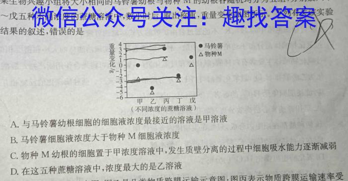 菁师联盟2024届高三下学期2月开学考试数学