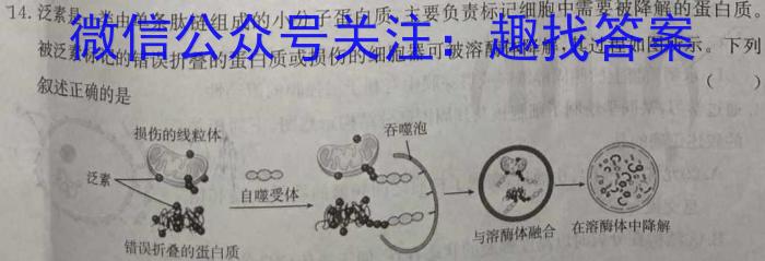 陕西省咸阳市某校2024-2025学年度第一学期九年级第一次学科素养测试生物学试题答案