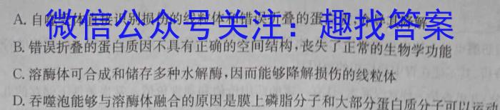 万维中考·2024年成都市高中阶段教育学校统一招生暨初中学业水平考试（黑卷）数学