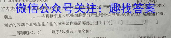 安徽省临泉2024届九年级1月期末考试生物学试题答案