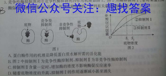 2024届陕西省九年级学业水平质量监测(♠️)数学