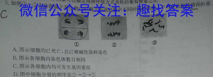 2024年河南省九年级第三次学业水平测试（A）生物学试题答案